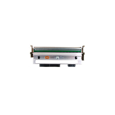 Печатающая головка к принтеру Zebra ZM600 203dpi 
